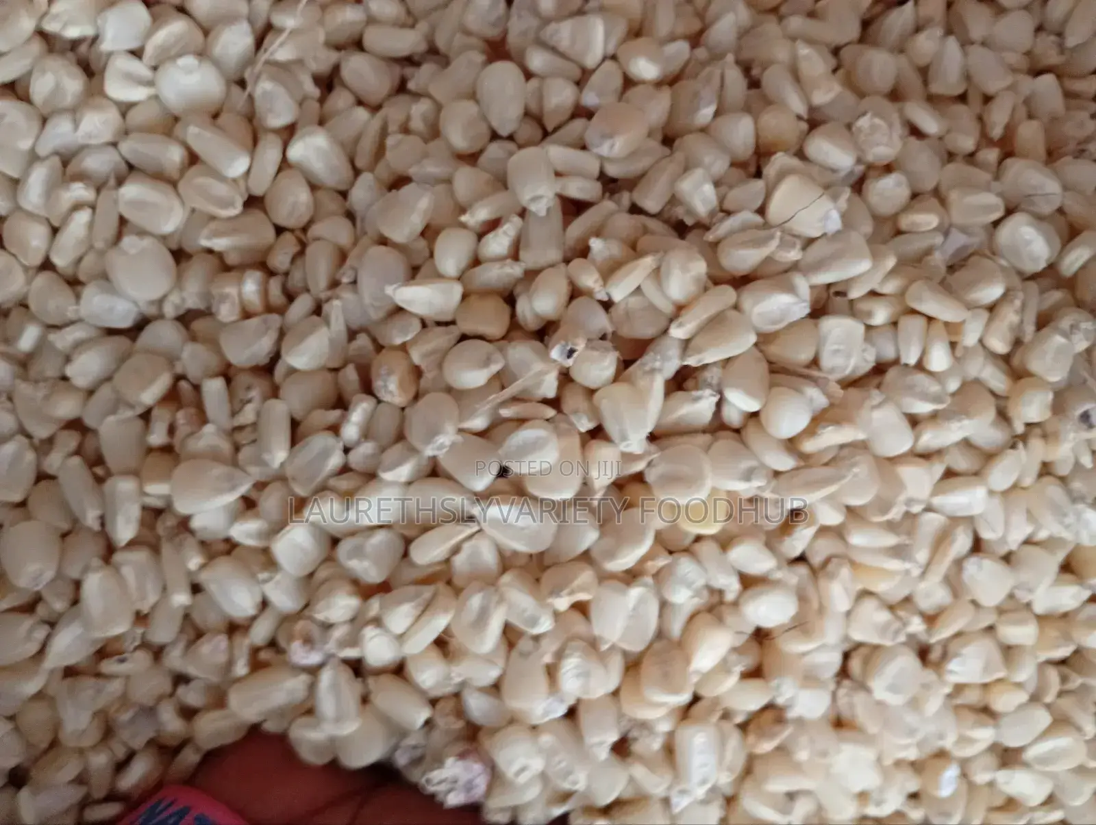 Your Trusted Partner for Quality White Maize–Buy in Bulk!