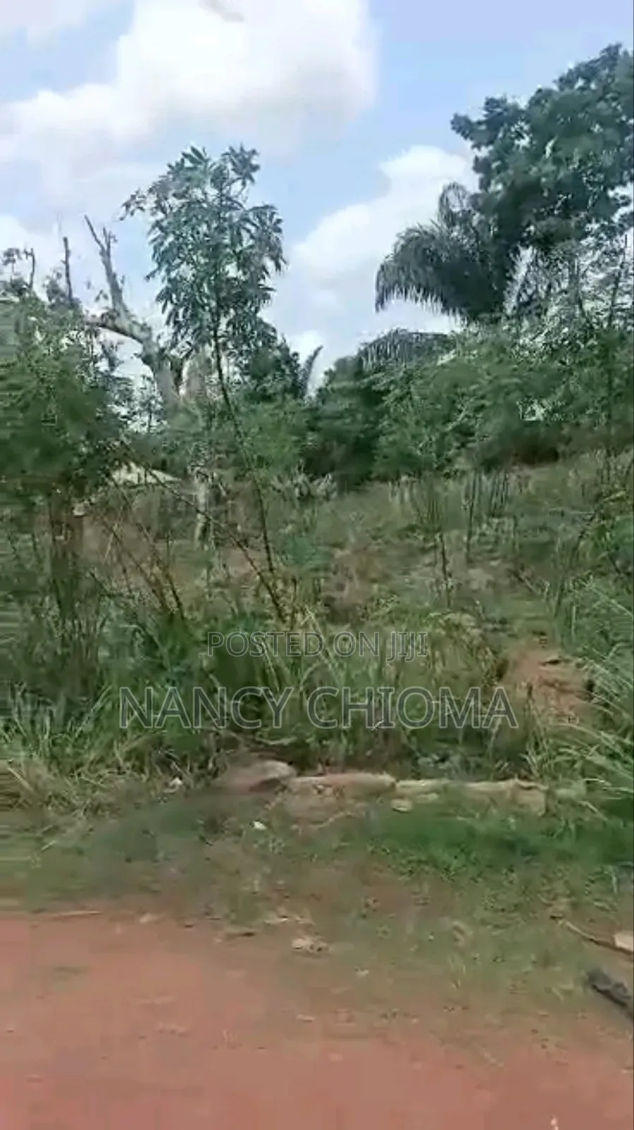 Land for Sale at Adoration Road