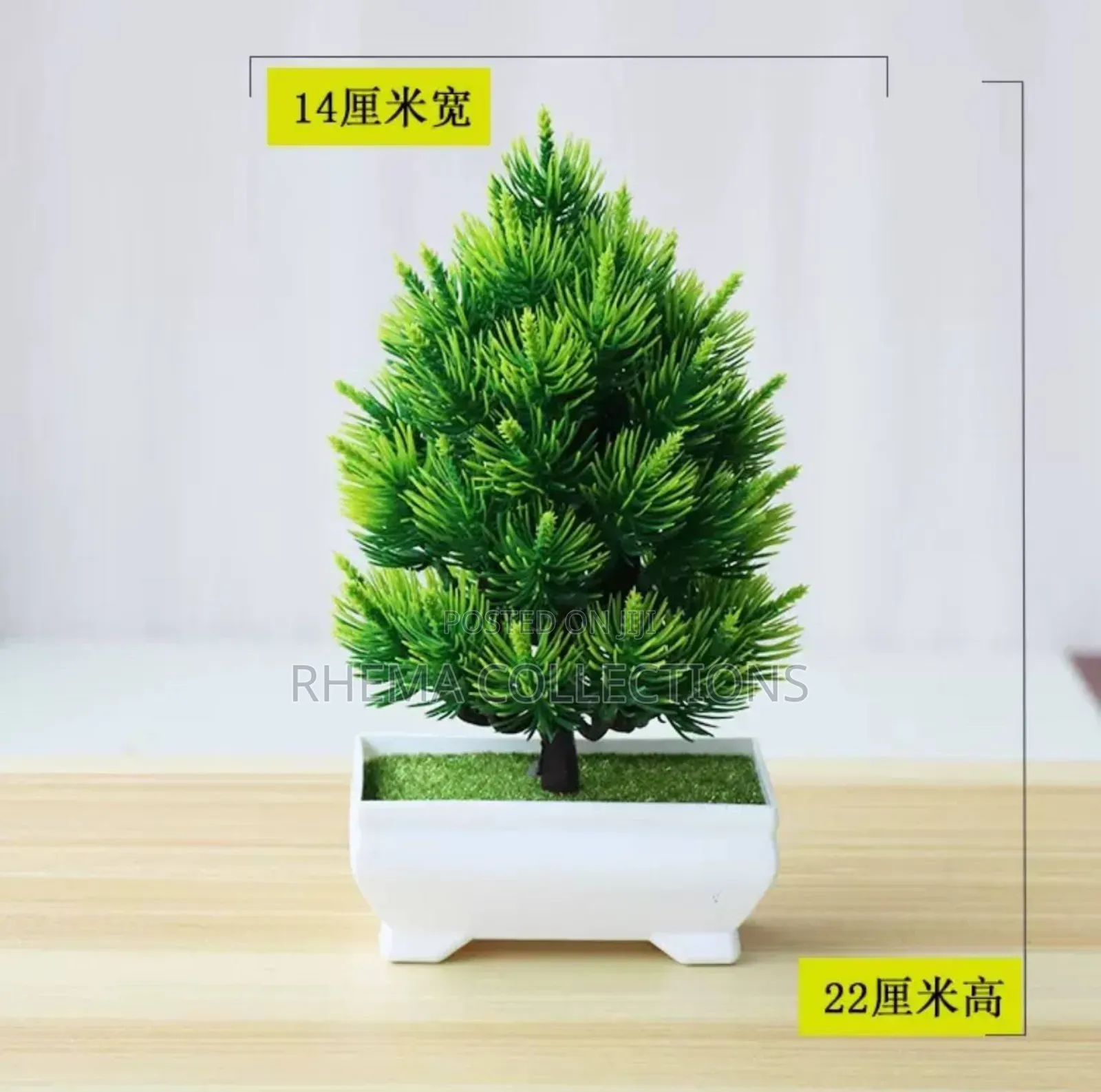 Potted Plant Home and Officr Decor