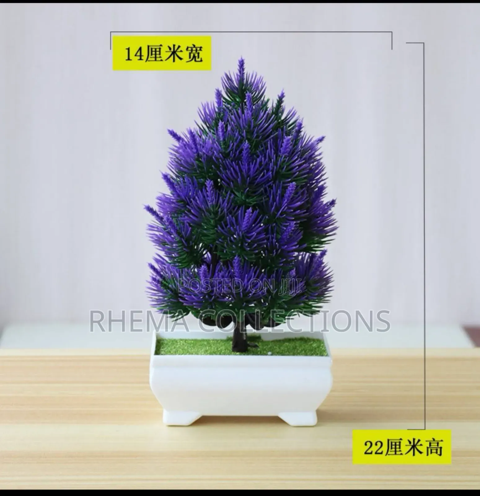 Potted Plant Home and Officr Decor