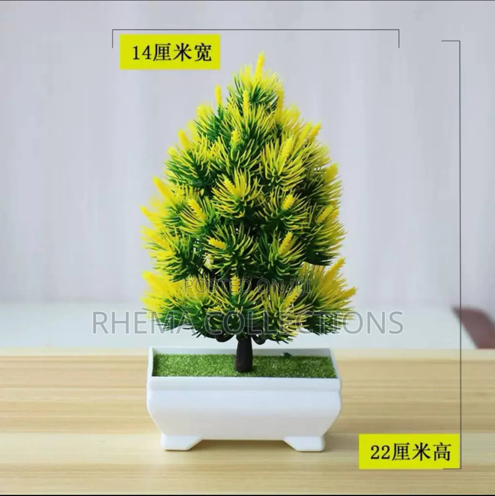 Potted Plant Home and Officr Decor