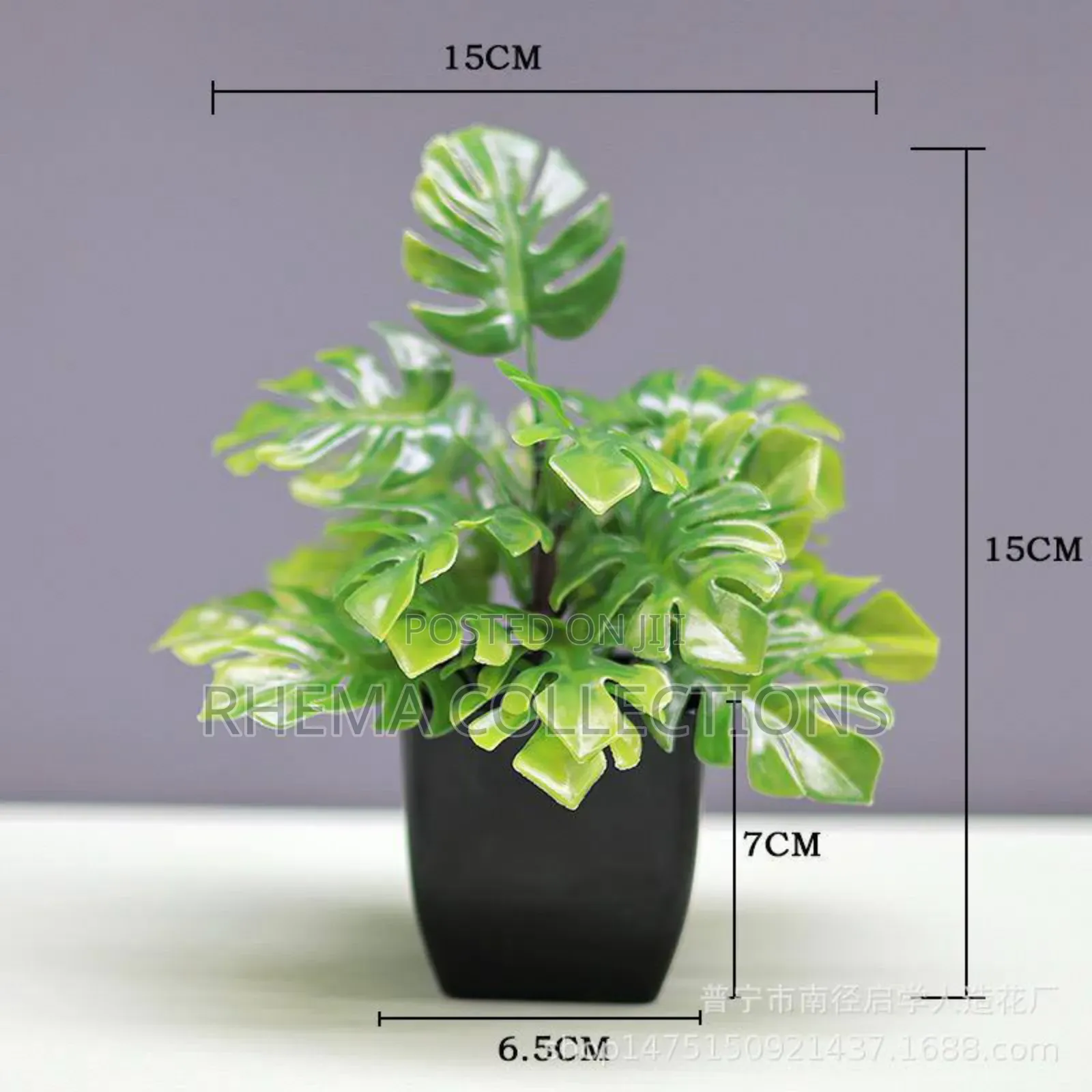 Hephzibah Potted Plant Home and Office Decor 7