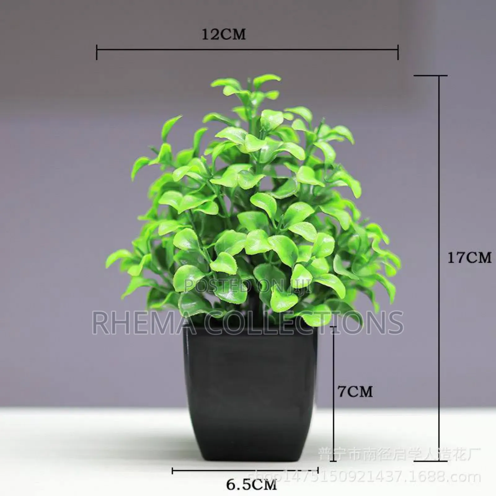 Hephzibah Potted Plant Home and Office Decor 7