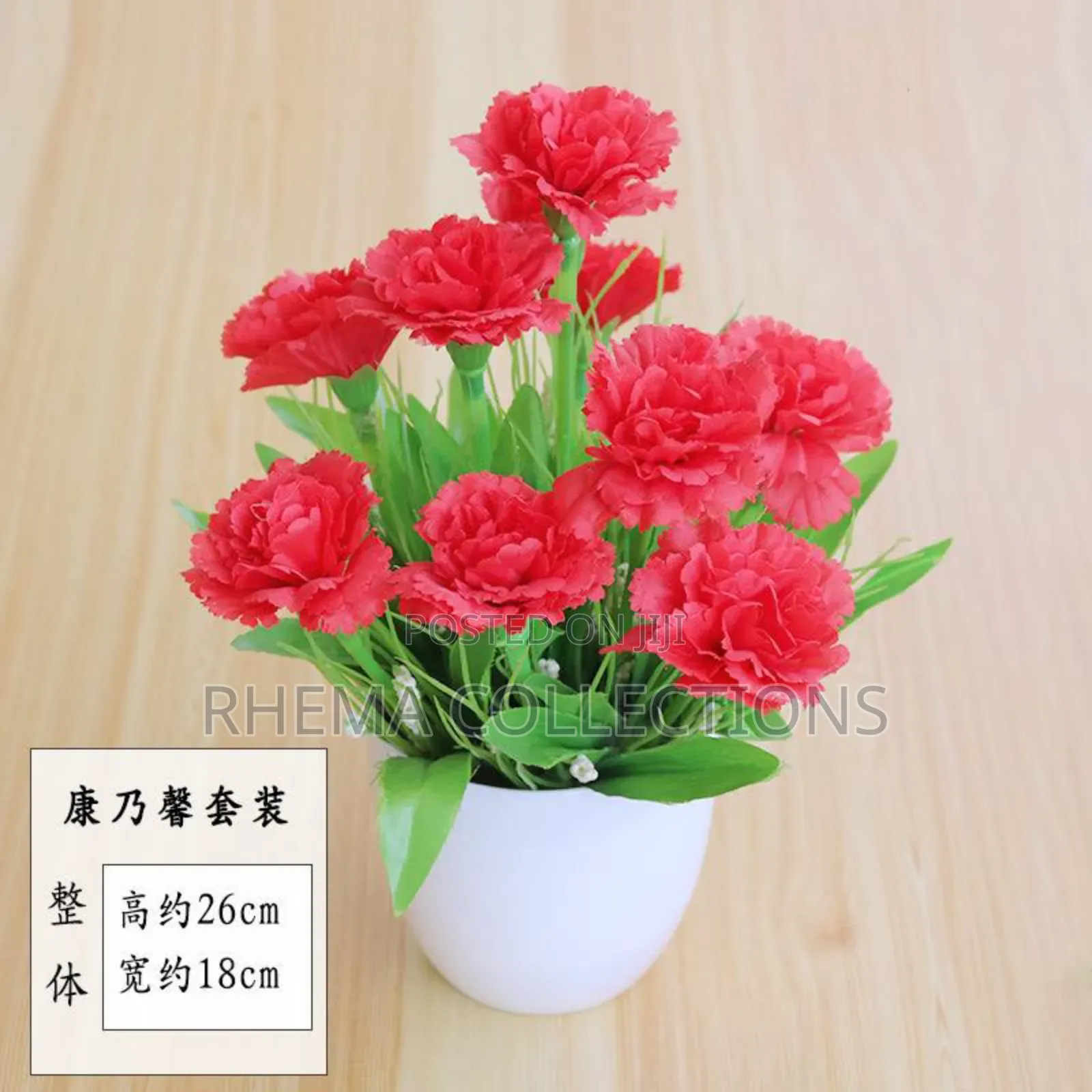 Rhema Potted Plant Home and Office Decor