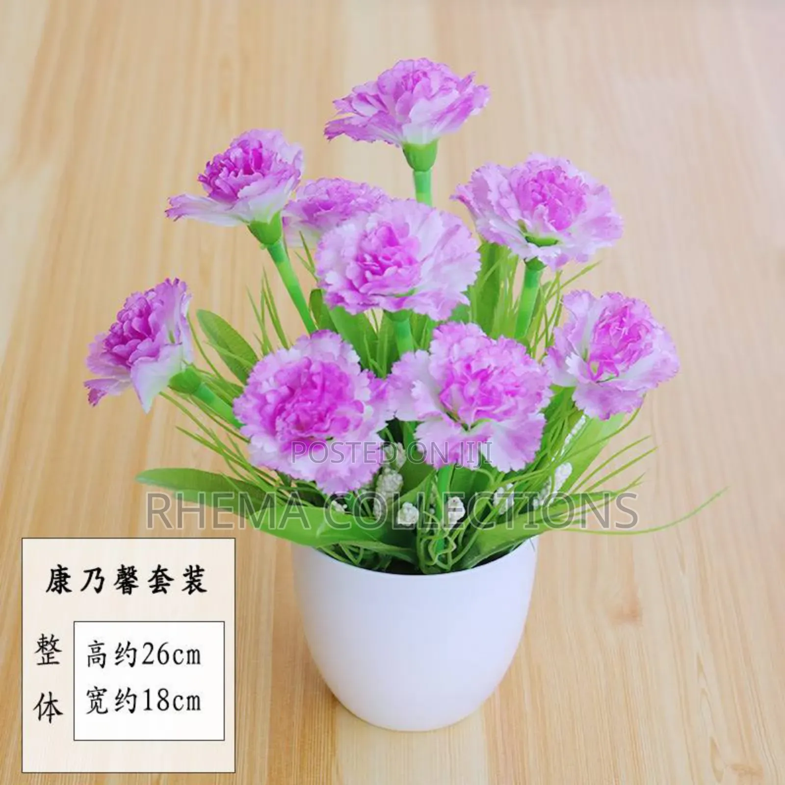 Rhema Potted Plant Home and Office Decor