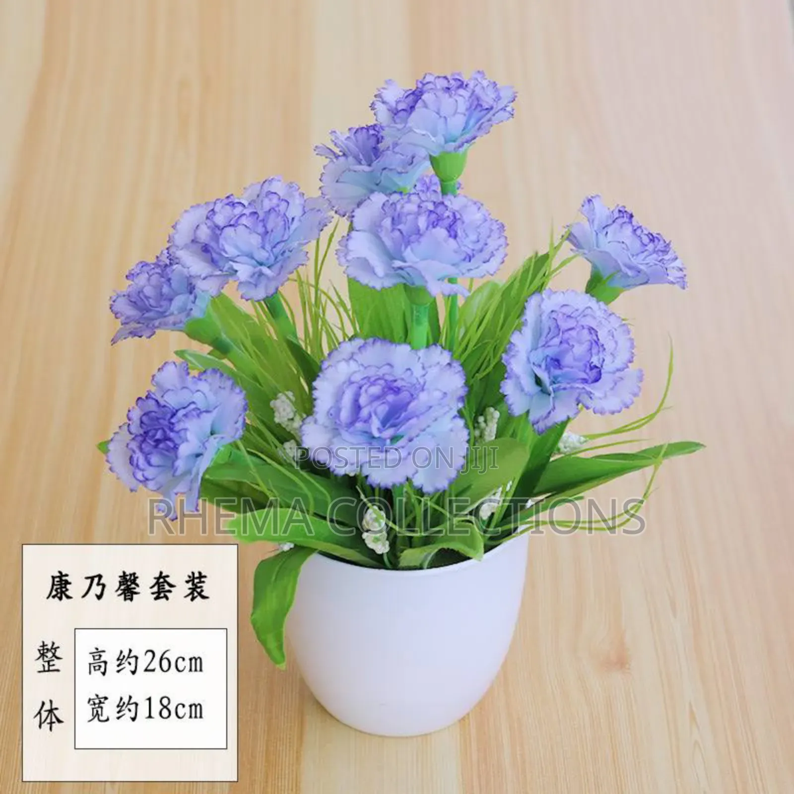 Rhema Potted Plant Home and Office Decor