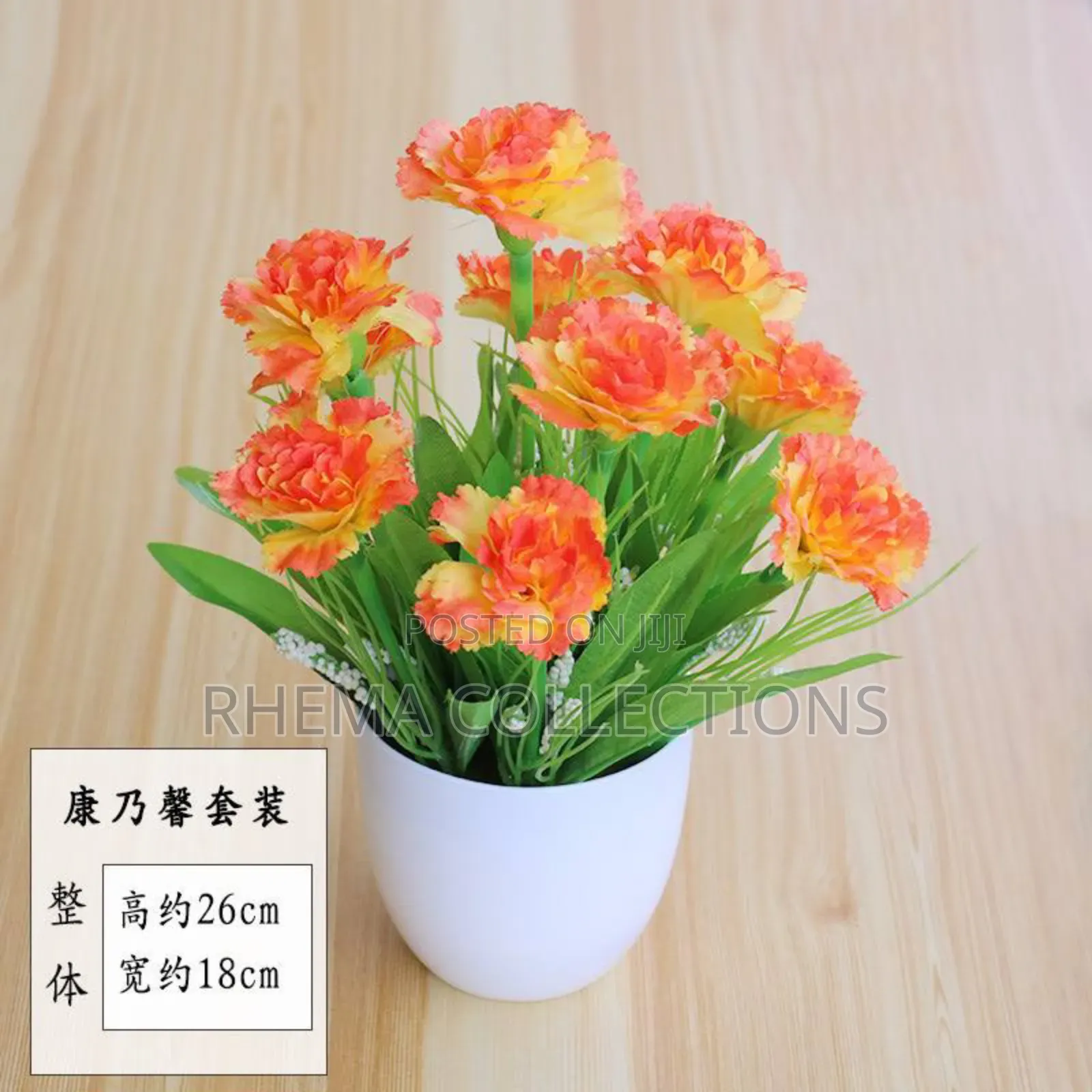 Rhema Potted Plant Home and Office Decor