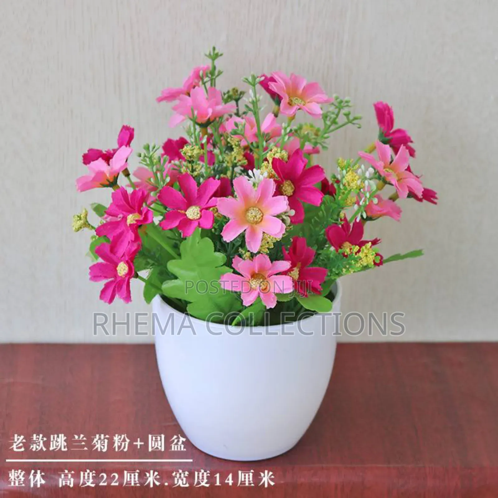 Naomi Potted Plant Home and Office Decor