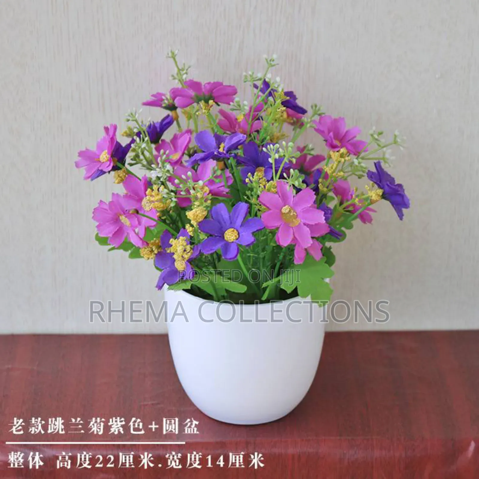 Naomi Potted Plant Home and Office Decor