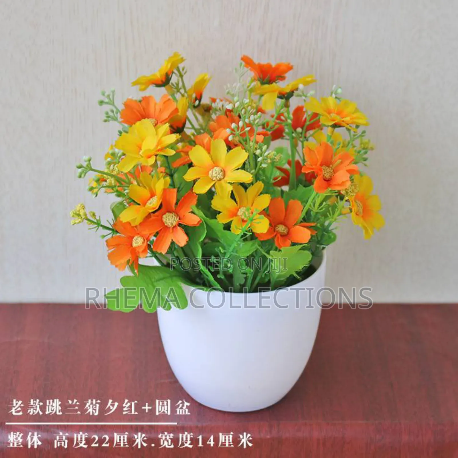 Naomi Potted Plant Home and Office Decor