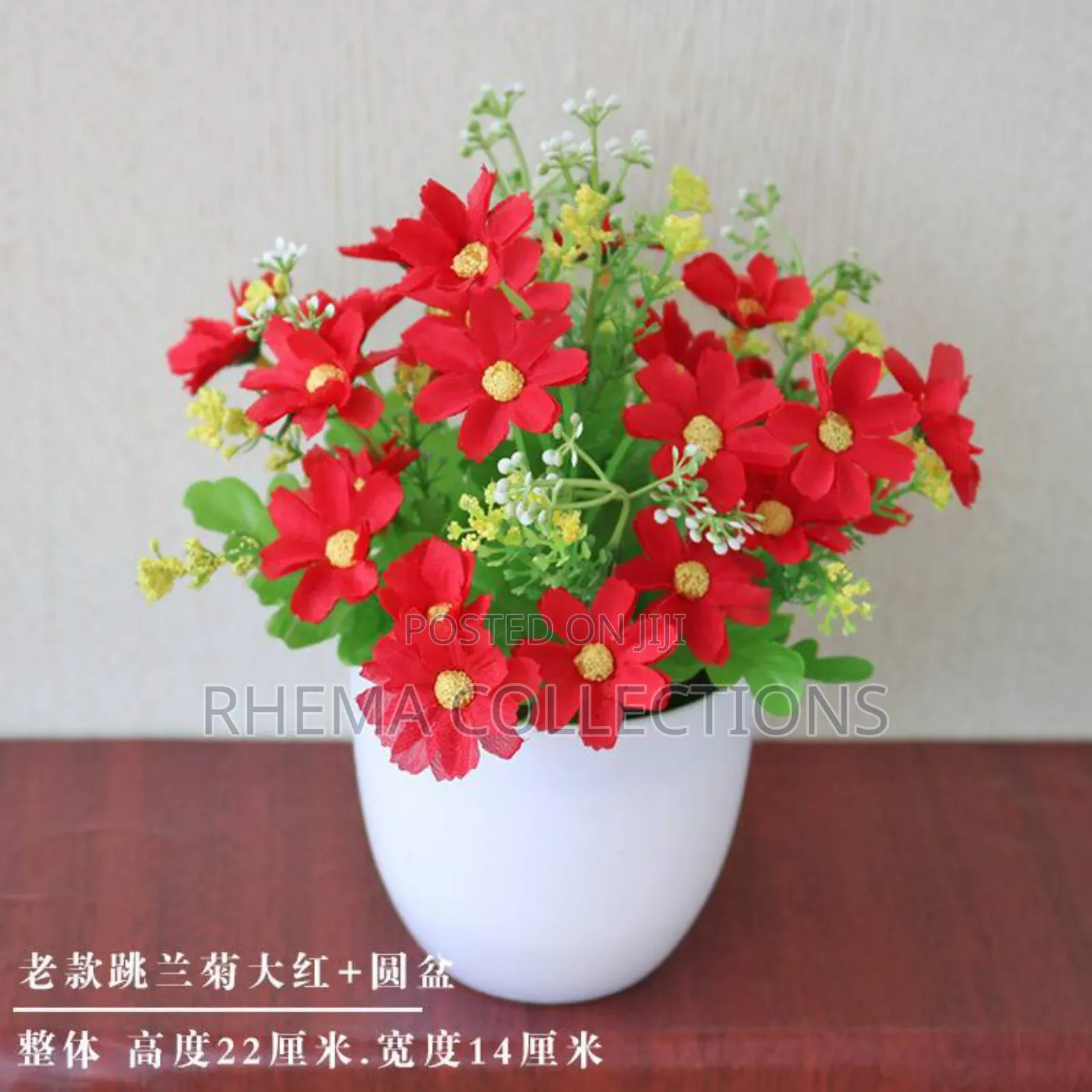 Naomi Potted Plant Home and Office Decor