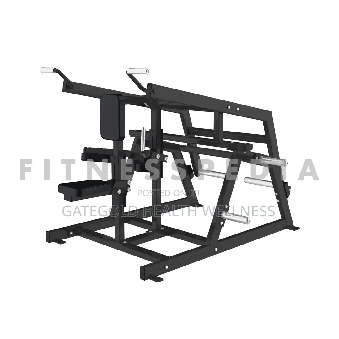 Seated Dip (Dhz Brand) Sm-2018