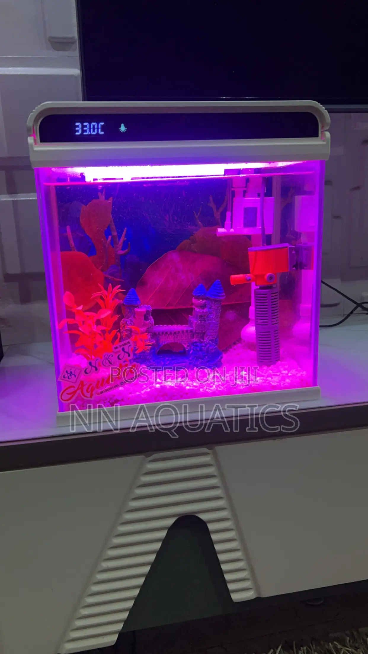 Aquariums of All Sizes