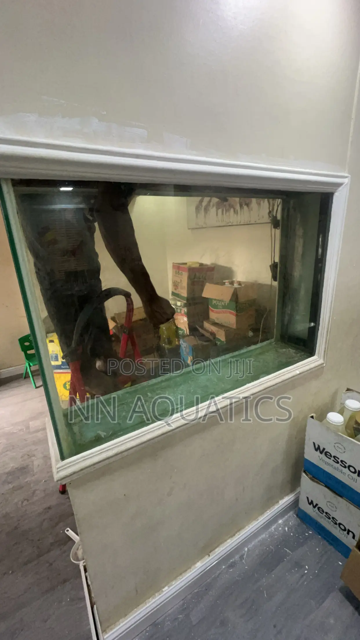 Aquariums of All Sizes