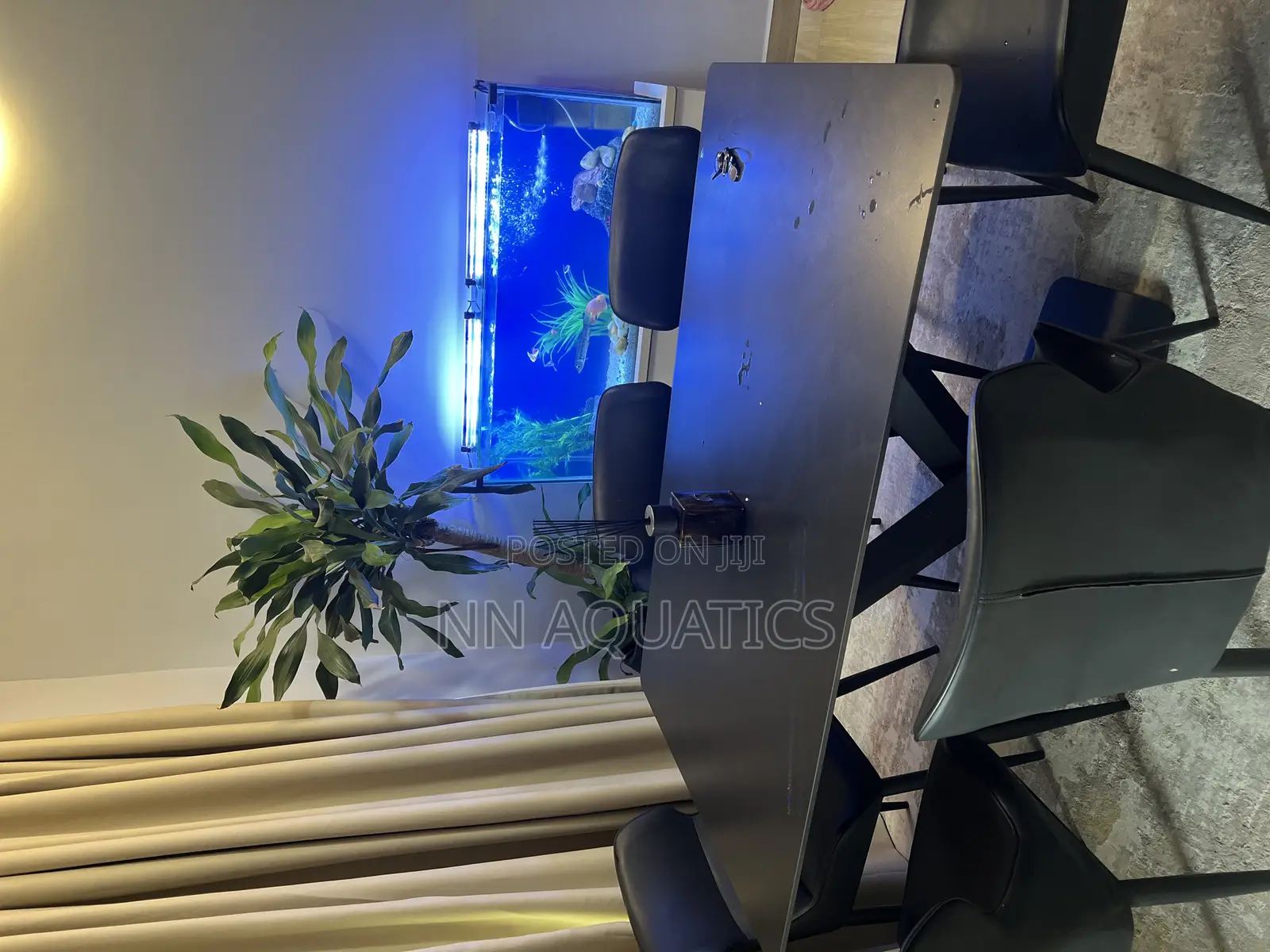 Aquariums of All Sizes