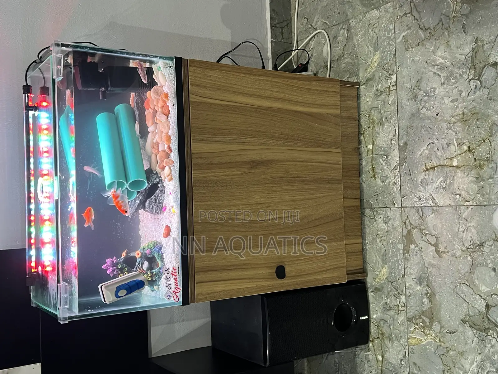 Aquariums of All Sizes
