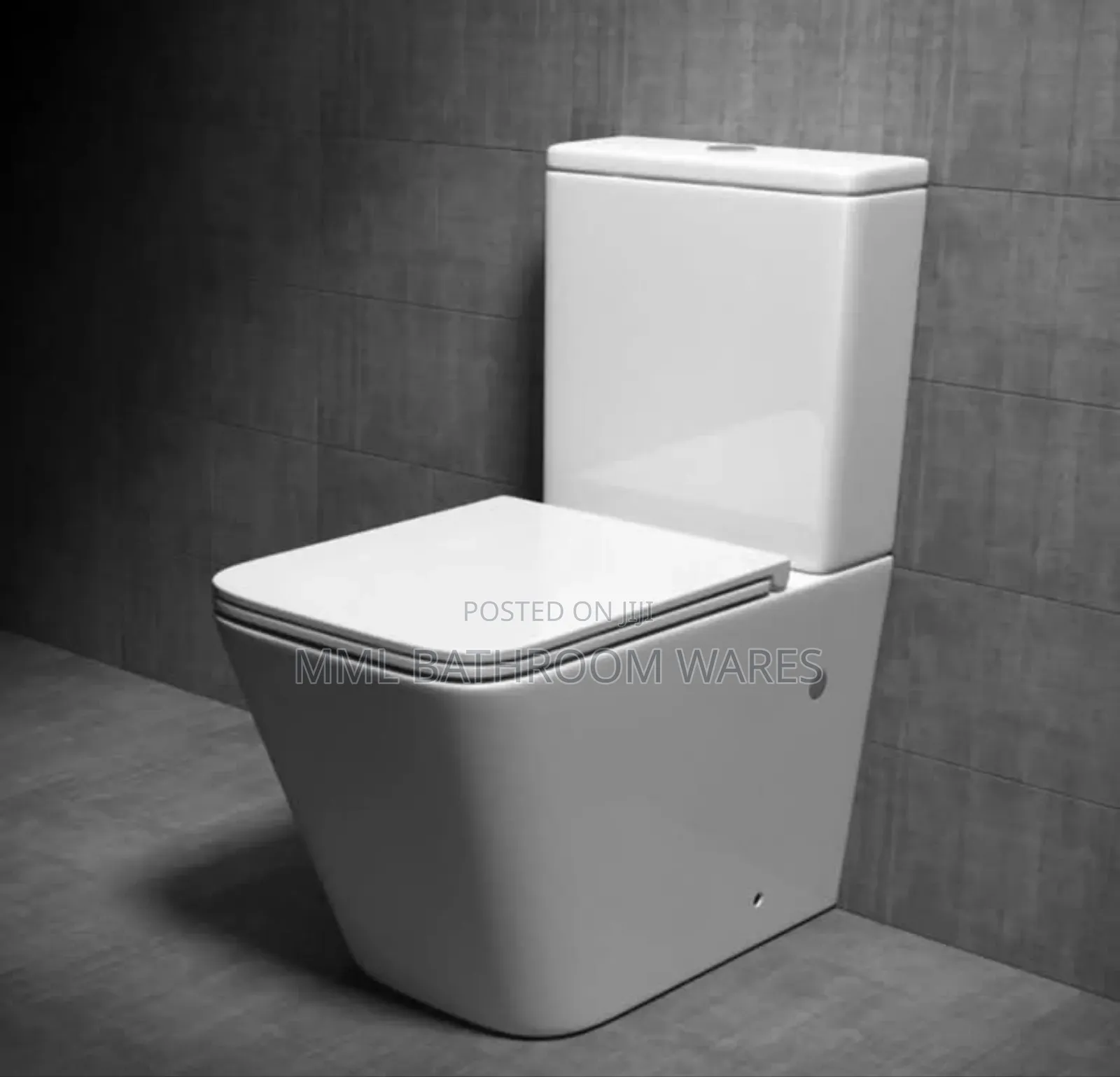 Executive Toilet Seats With Pedestal Basin