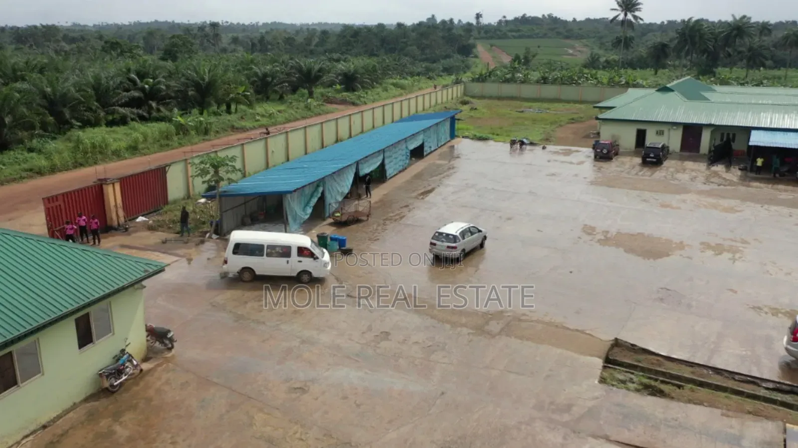 60000 Birds Automated Poultry 20 Hectre 4 Sale Ogun State