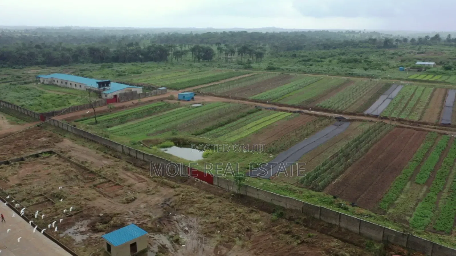 60000 Birds Automated Poultry 20 Hectre 4 Sale Ogun State