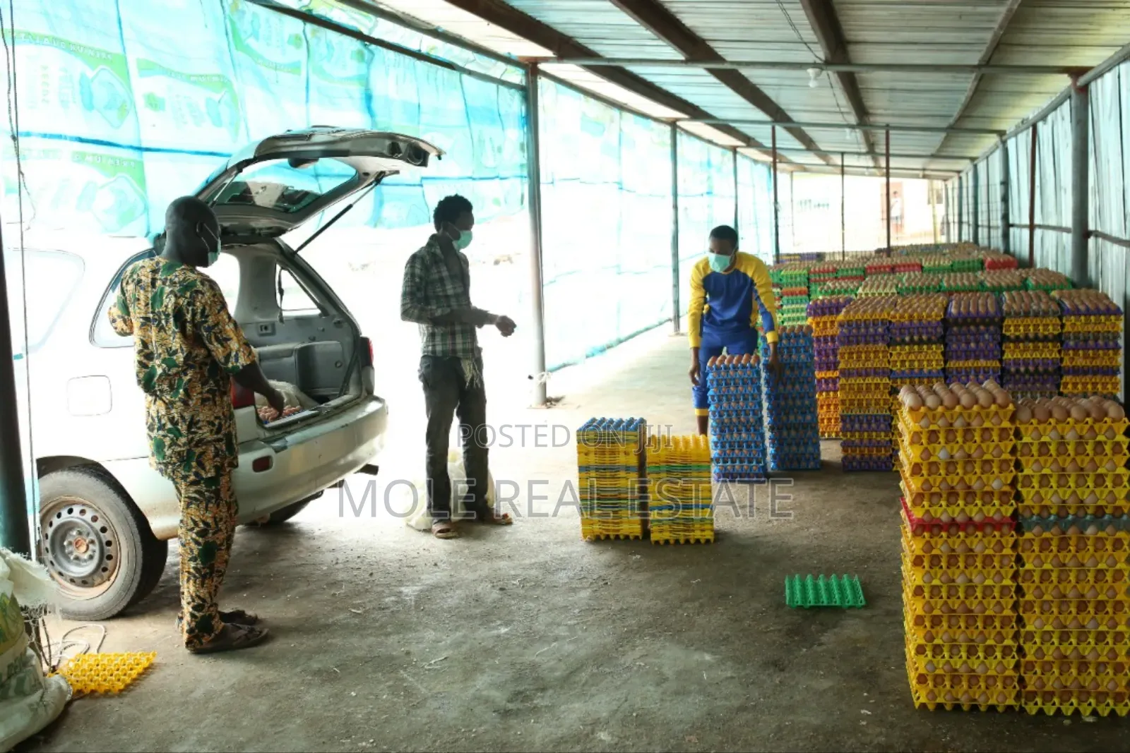 60000 Birds Automated Poultry 20 Hectre 4 Sale Ogun State