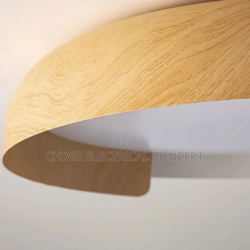 Nordic Grain Led Ceiling Lights for Living