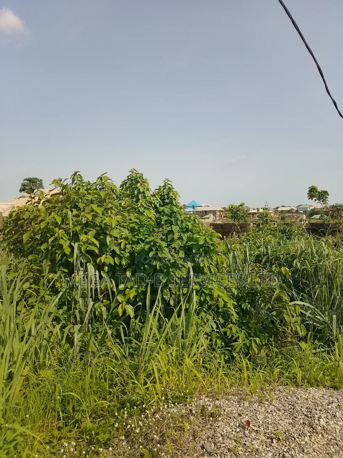 Lands for Sale at Berger