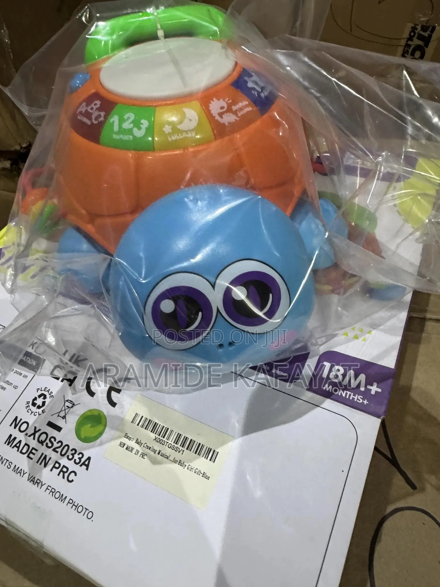 Hanayo Crawling Turtle Baby Toy