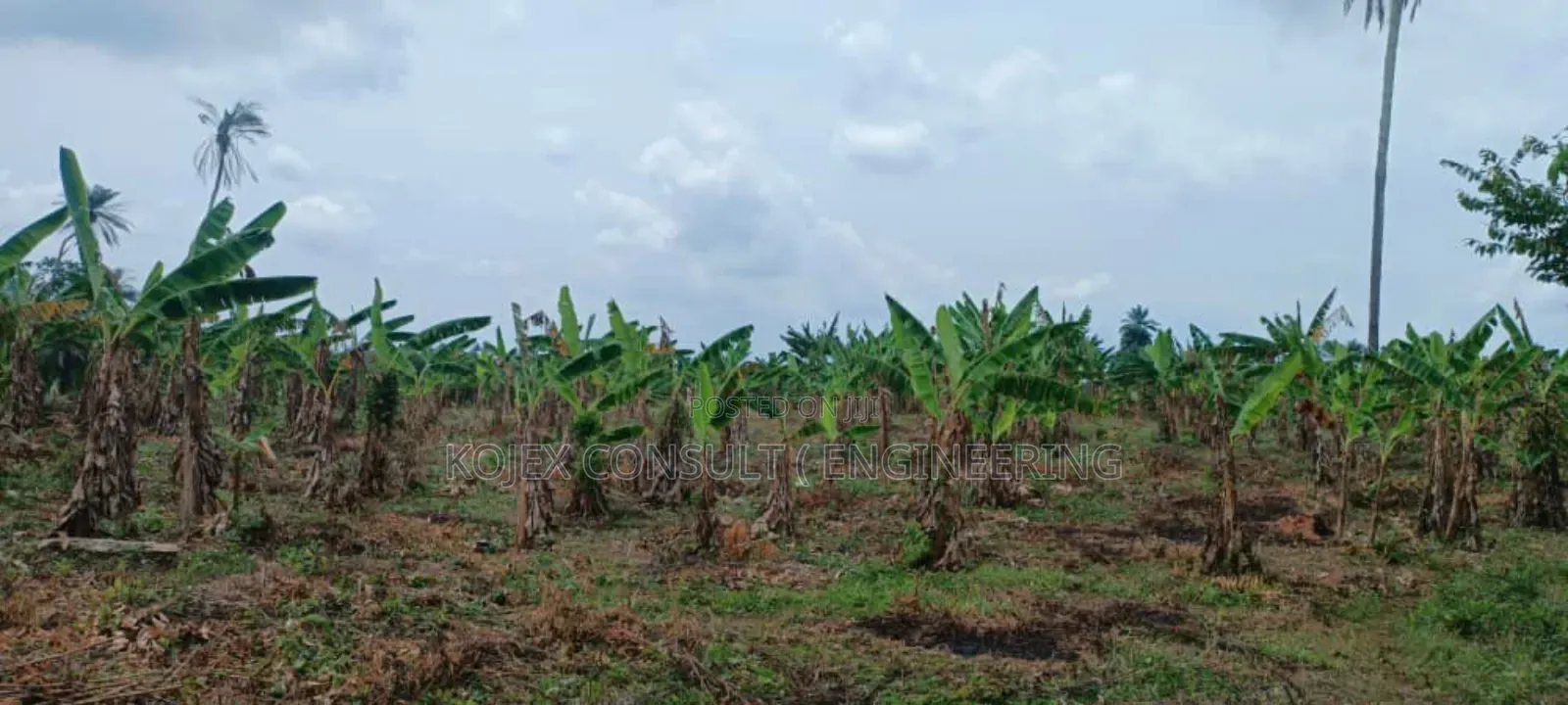 Farmland for Sale at Awoof Prices in Nigeria Hurry Up