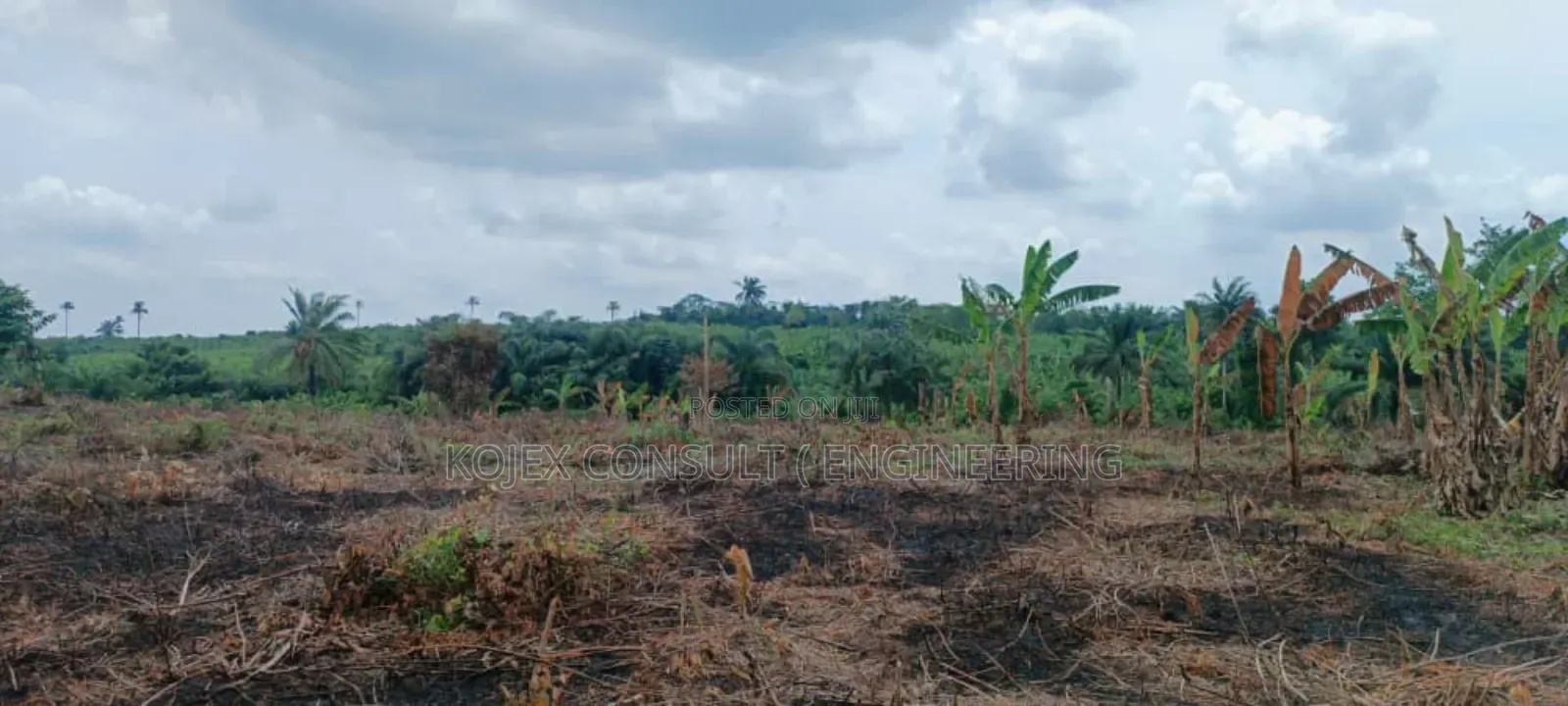Farmland for Sale at Awoof Prices in Nigeria Hurry Up