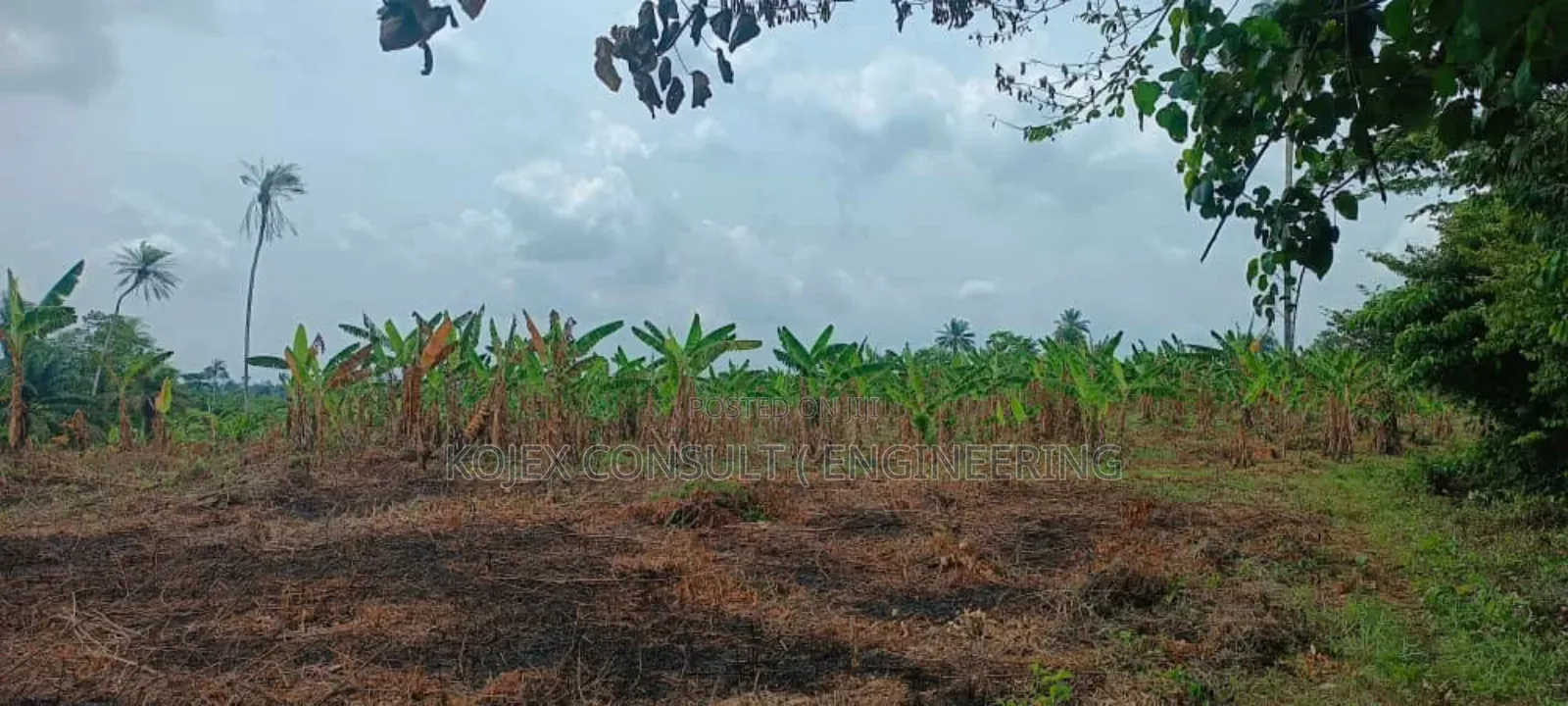 Farmland for Sale at Awoof Prices in Nigeria Hurry Up