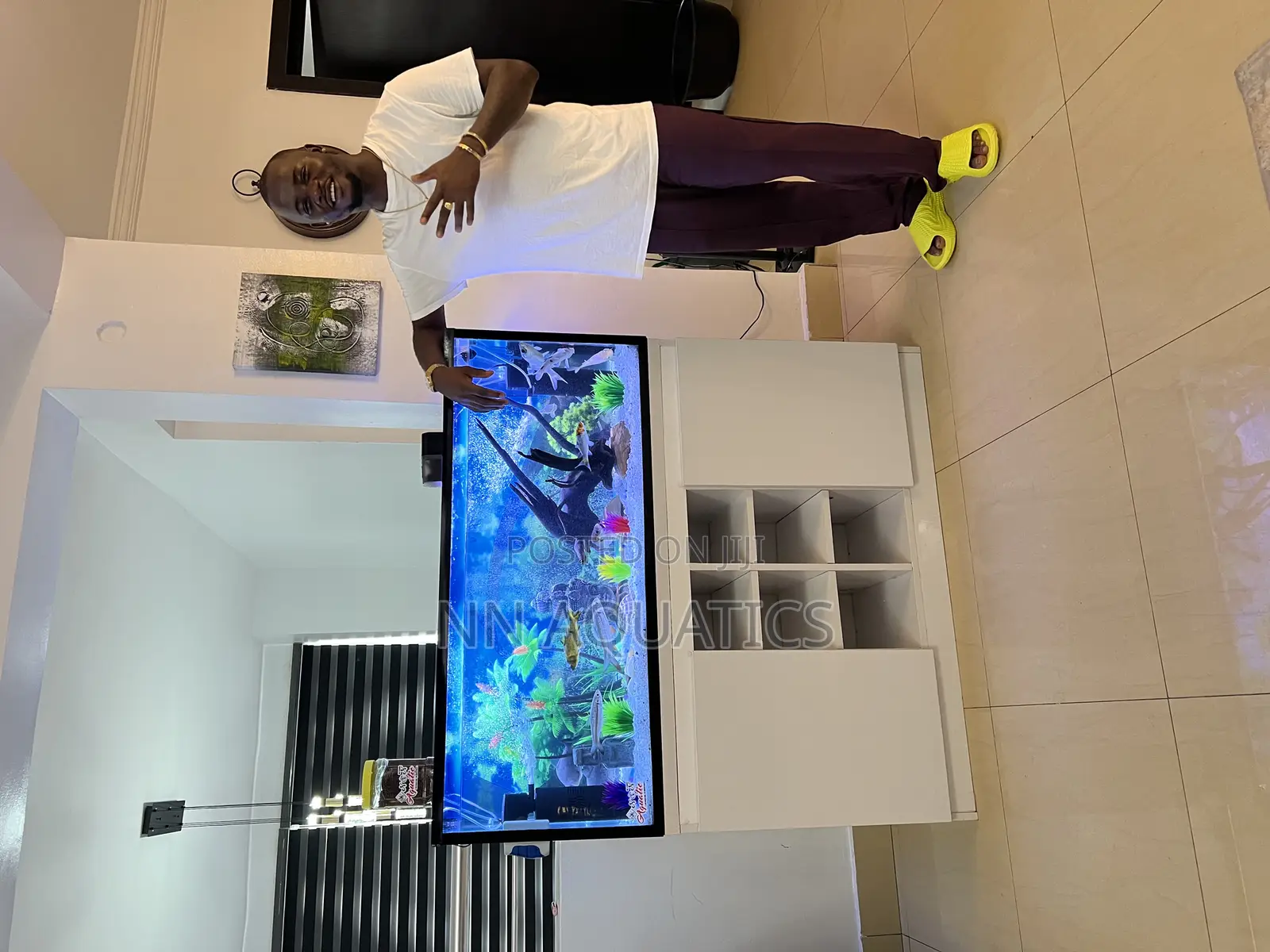 4 Ft by 2 Ft Stand Alone Aquarium