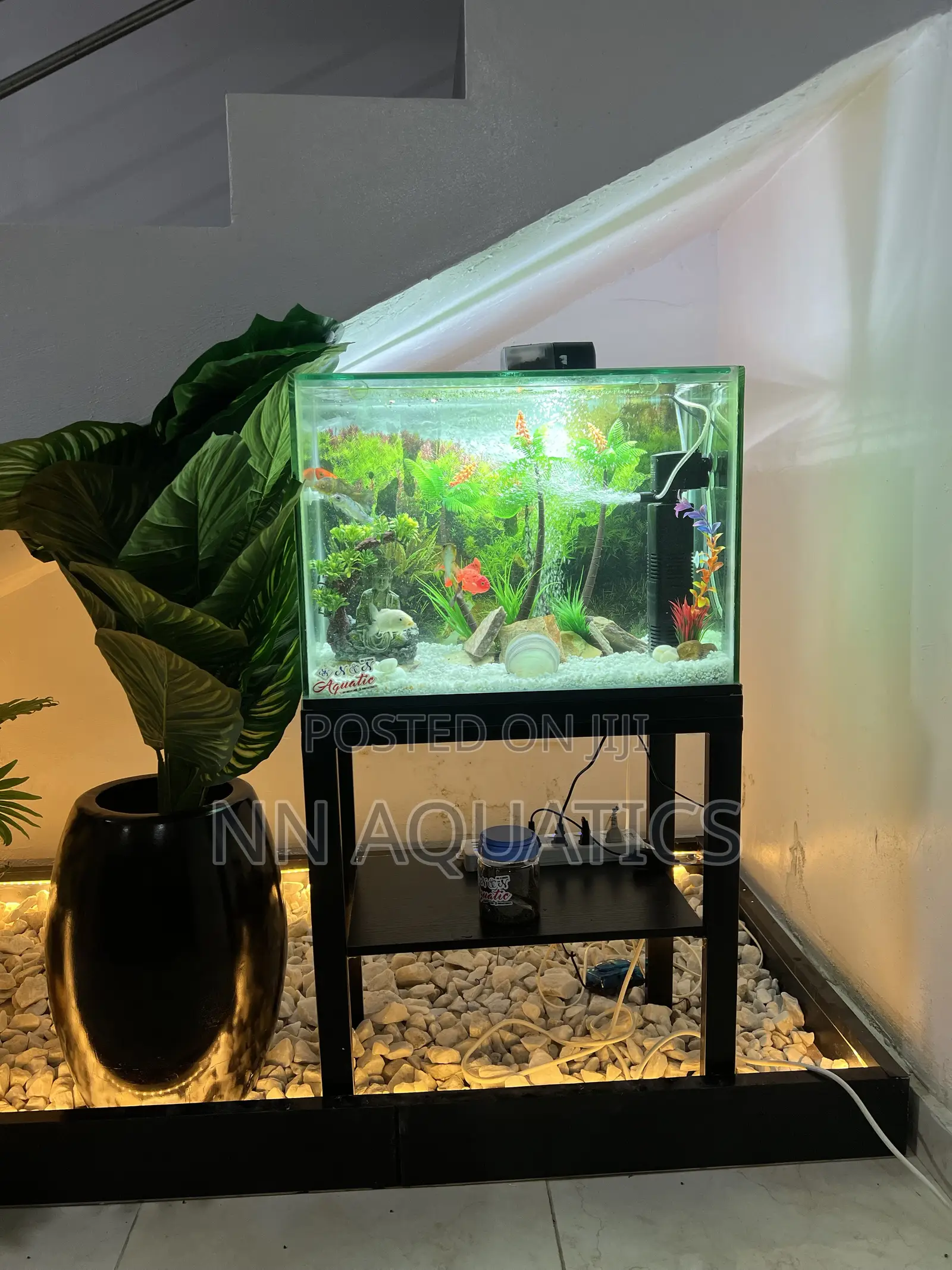 Locally Made Tank