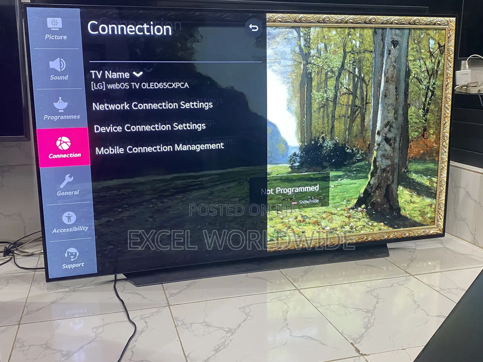 65 “Lg Oled Cx Series Ultra Slim Smart Tv With Ai Thinq