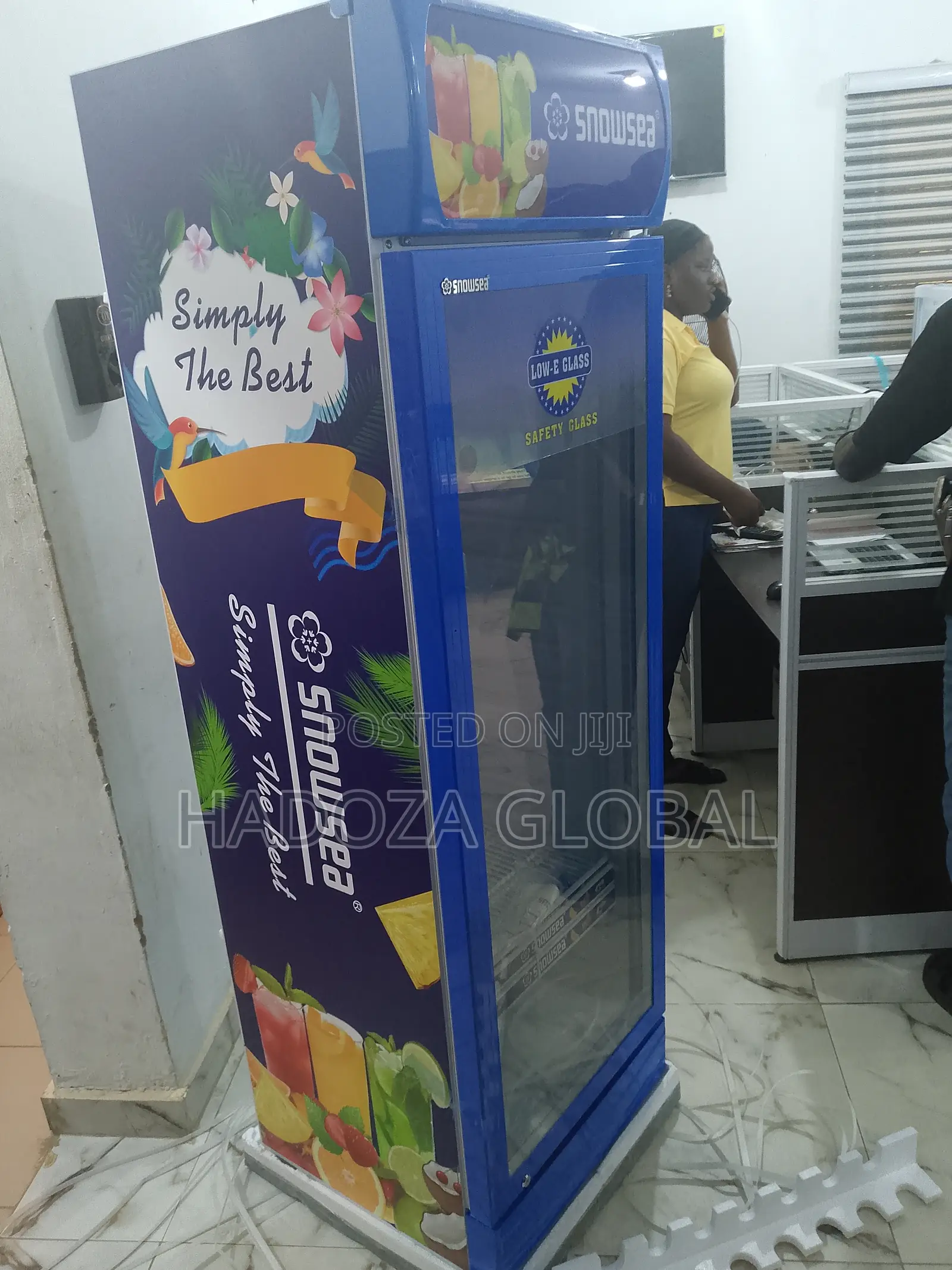 Snowsea Lc-500 Cooler With Glass Door & Led Interior Light