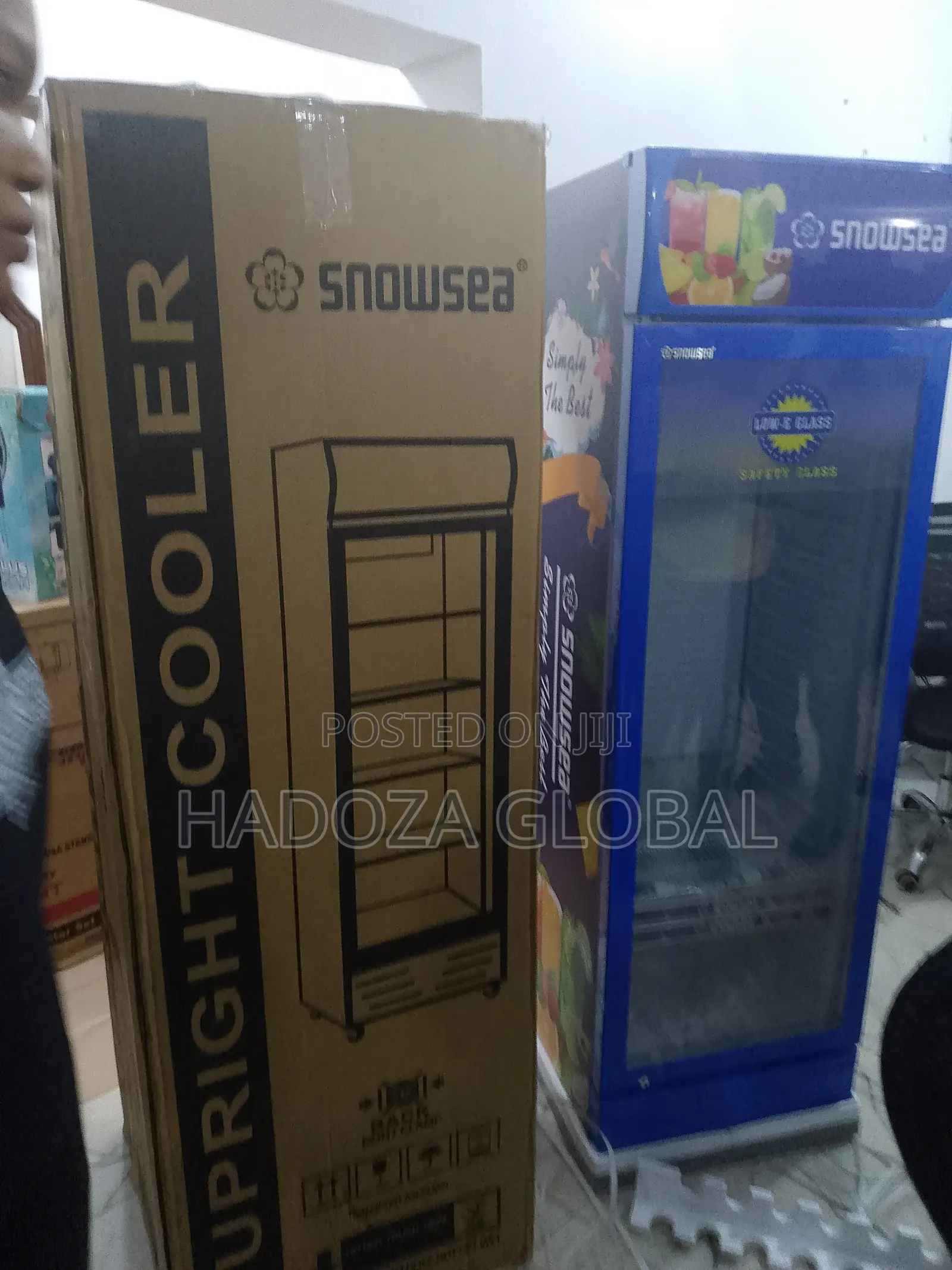 Snowsea Lc-500 Cooler For Restaurants And Cafes