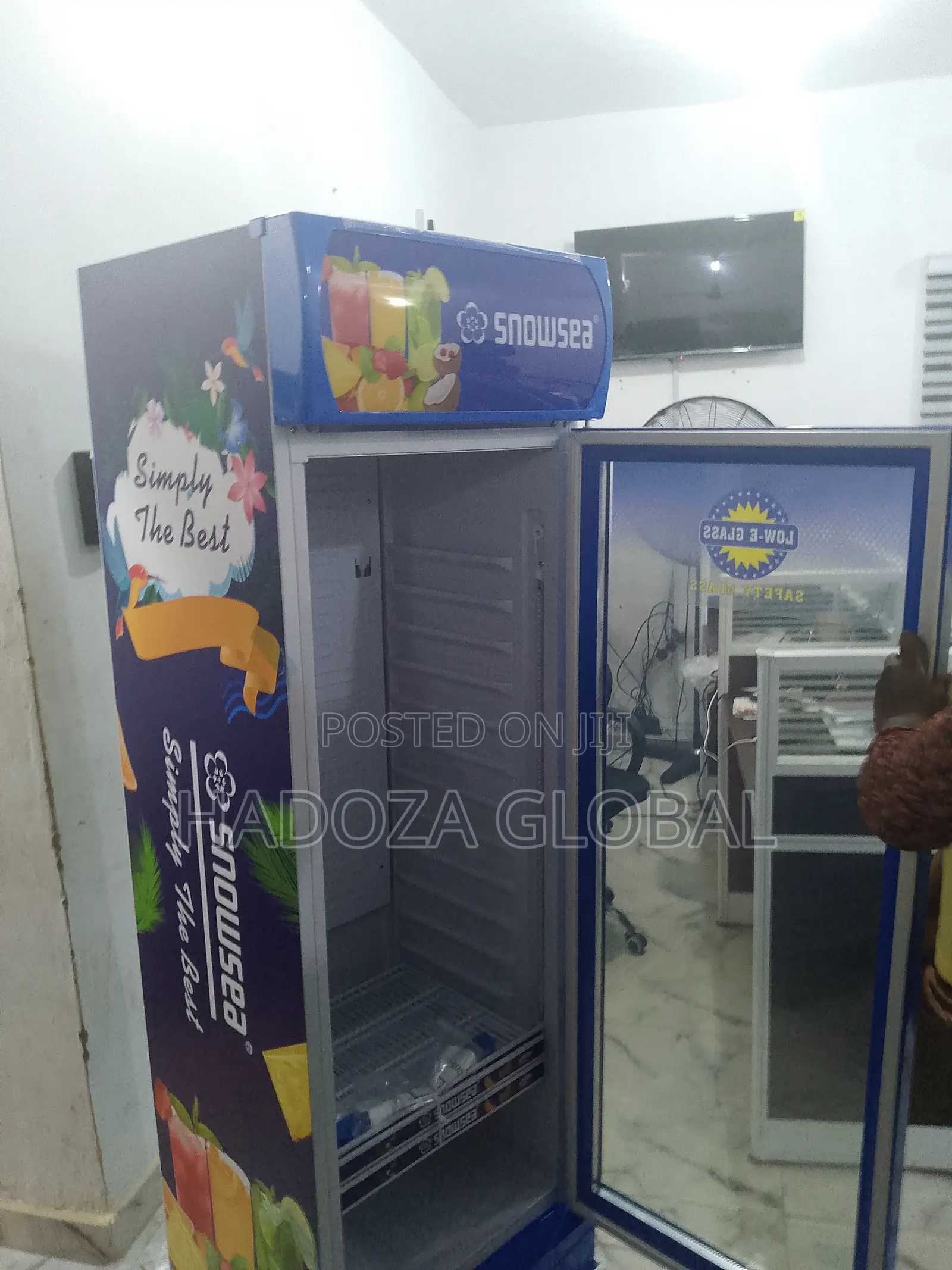 Snowsea Lc-500 Upright Cooler For Office Or Hotel Use