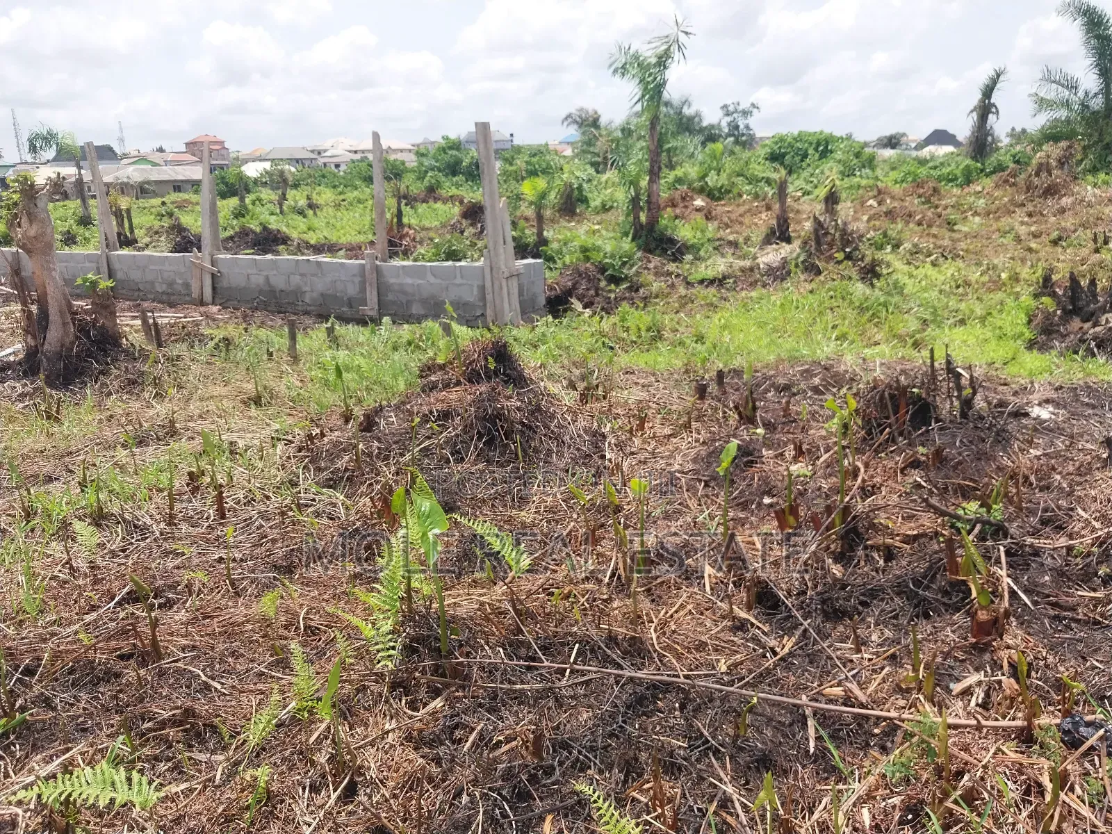 300sqm Distress Sales Ijegun Ijegemo New Expressway