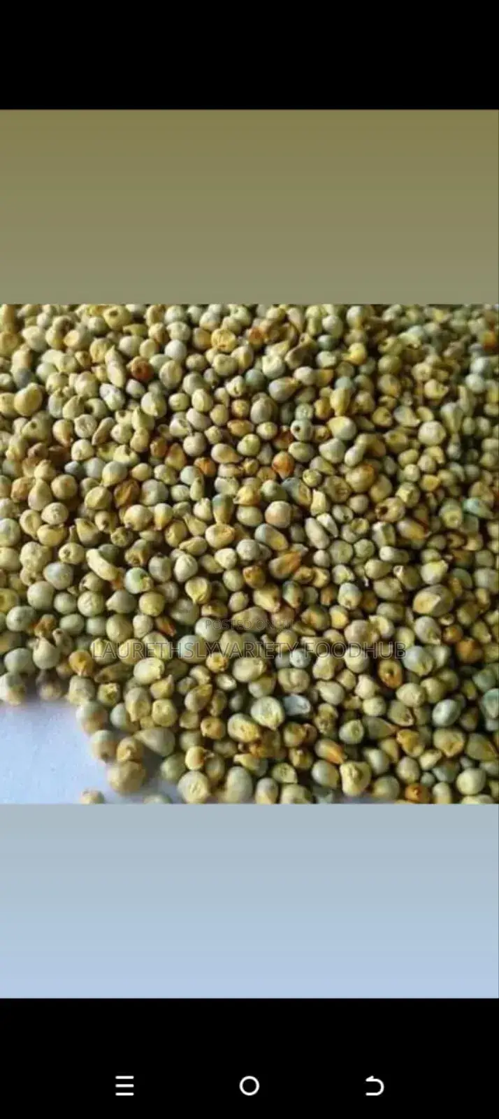"Finely Harvested Millet Available in Wholesale Deal!