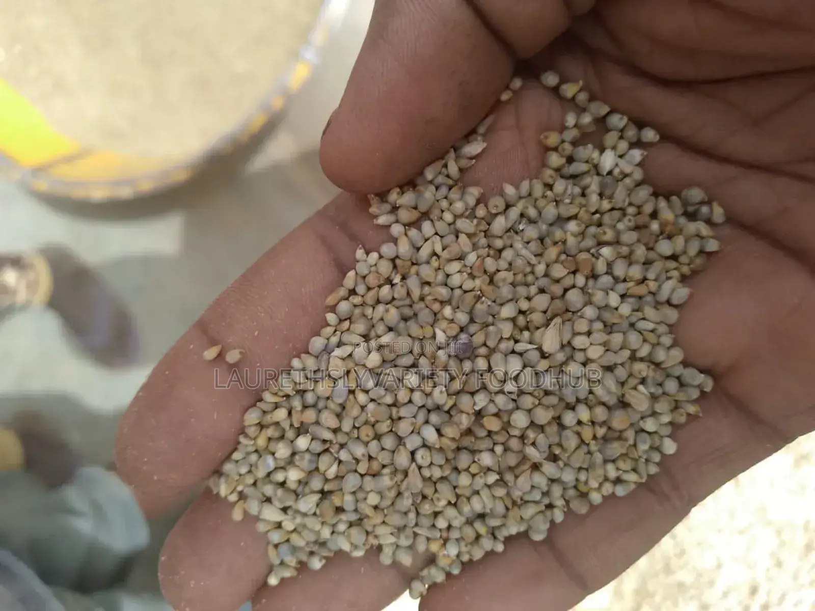 "Finely Harvested Millet Available in Wholesale Deal!