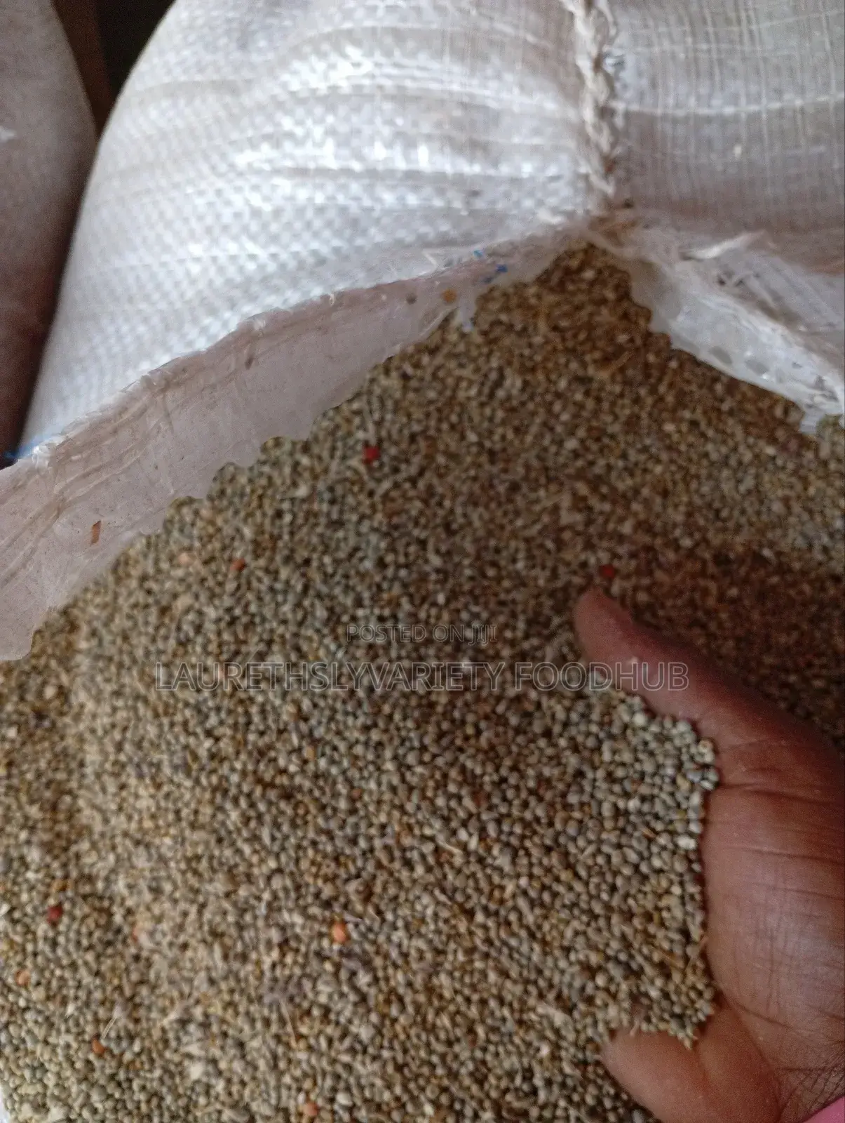 "Finely Harvested Millet Available in Wholesale Deal!