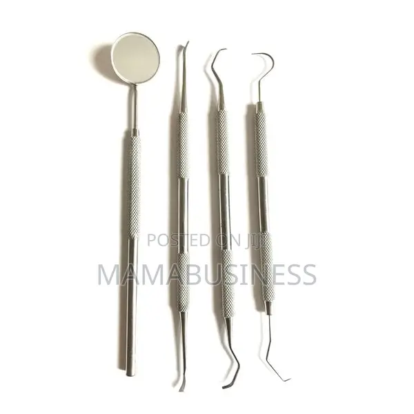 Oral Care Kit Set Stainless – 4pcs