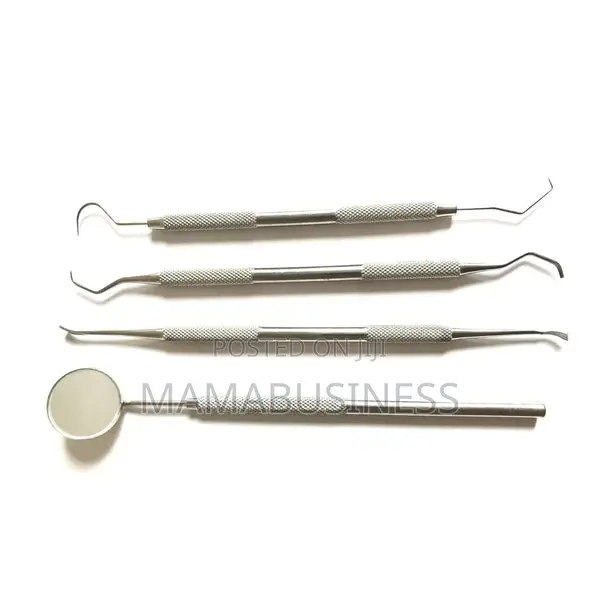 Oral Care Kit Set Stainless – 4pcs