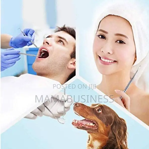 Oral Care Kit Set Stainless – 4pcs