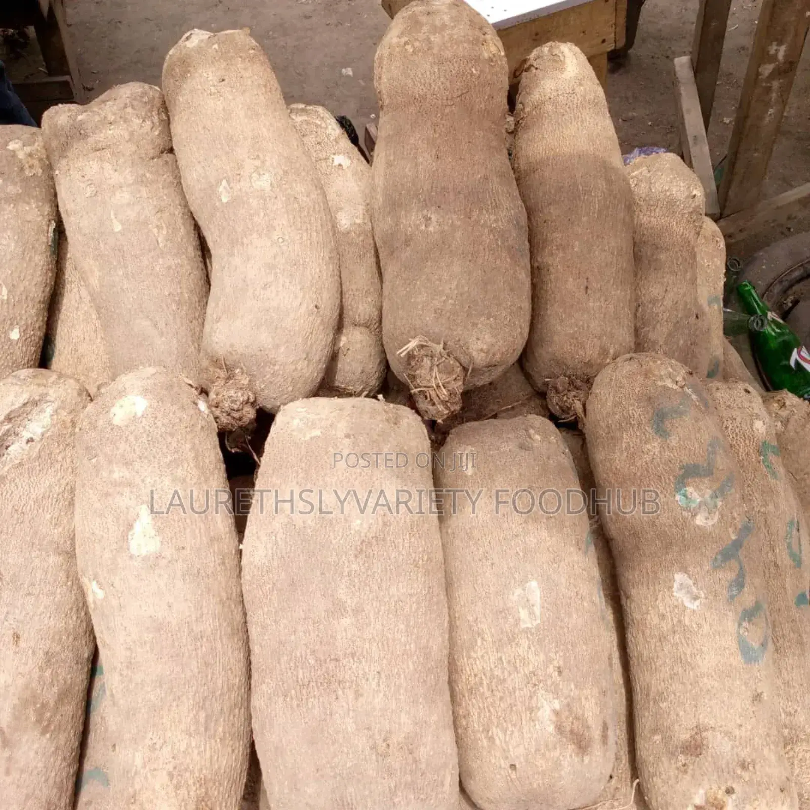 "Neatly Harvested Yams For Bulk Supplies!🌿💚