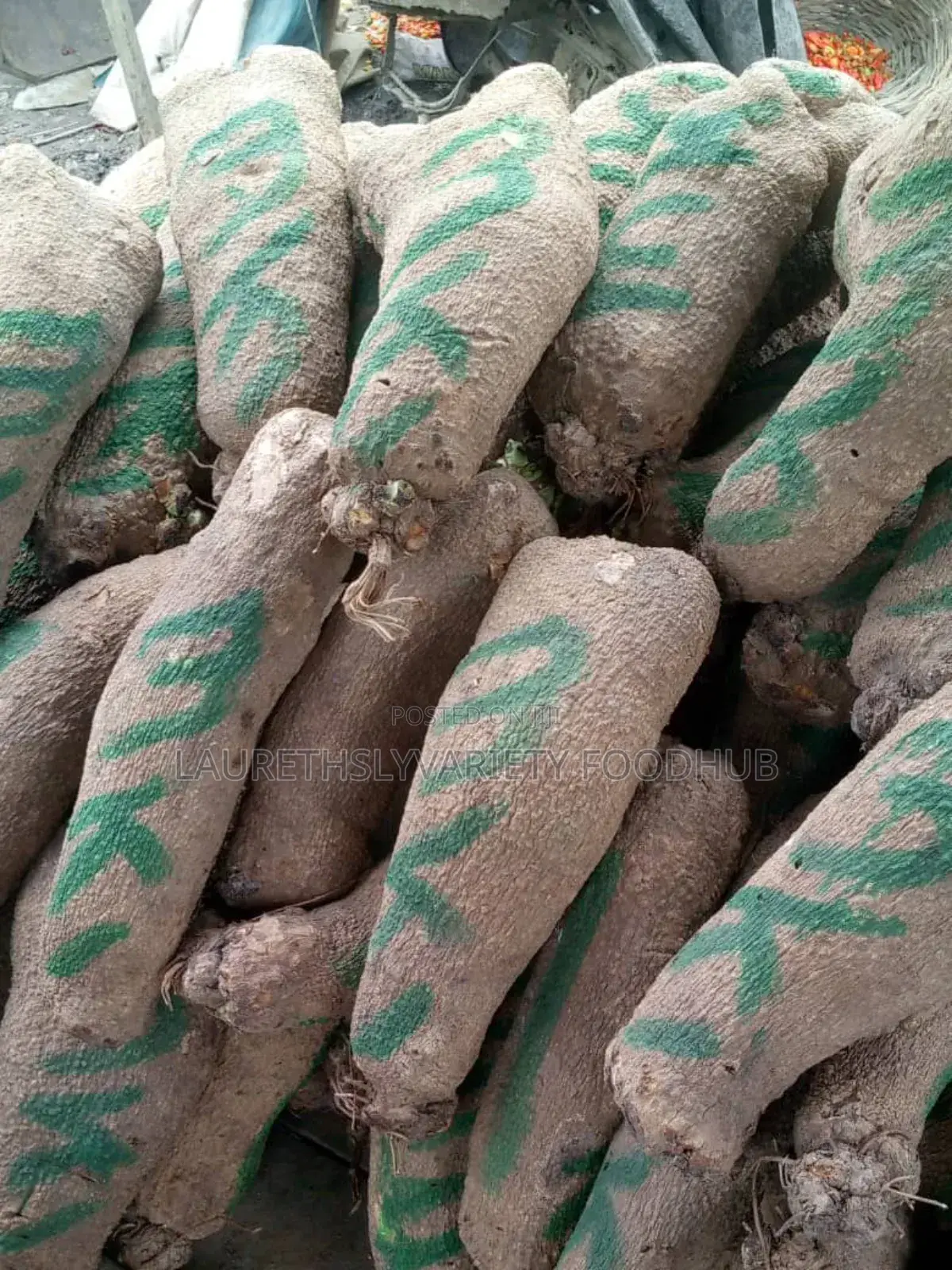 "Neatly Harvested Yams For Bulk Supplies!🌿💚