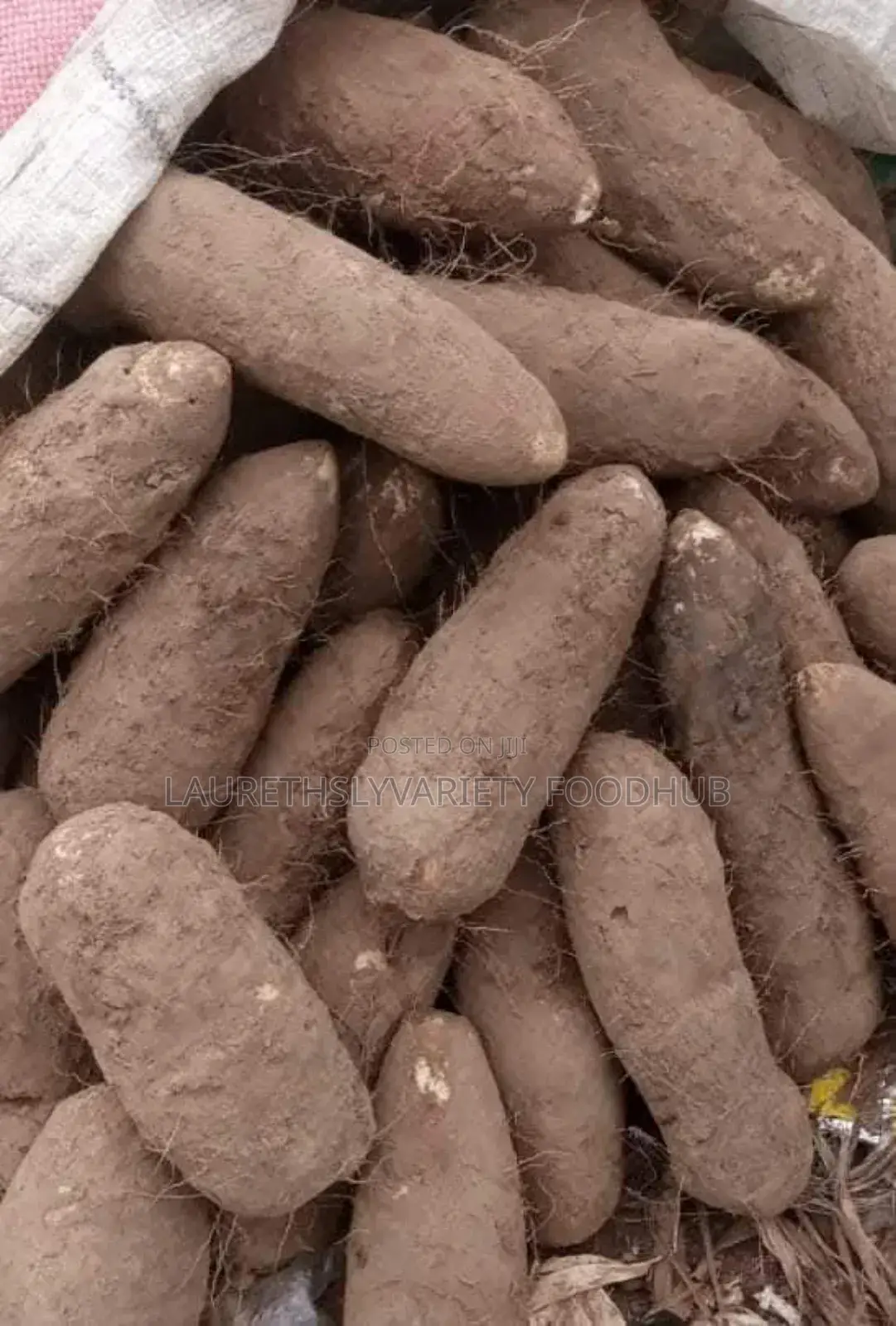 "Neatly Harvested Yams For Bulk Supplies!🌿💚