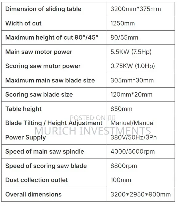 Woodworking Ws 110 Industrial Sliding Table Panel Saw