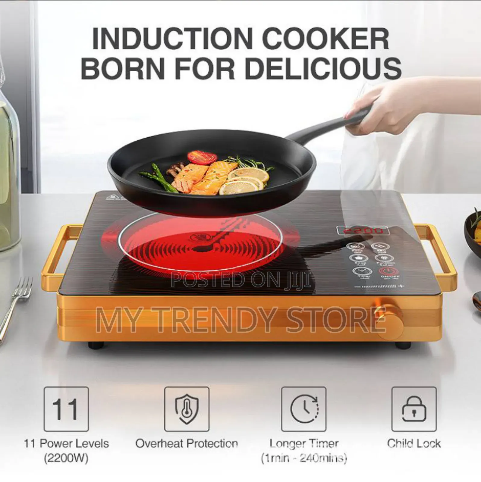 Infrared Cooker