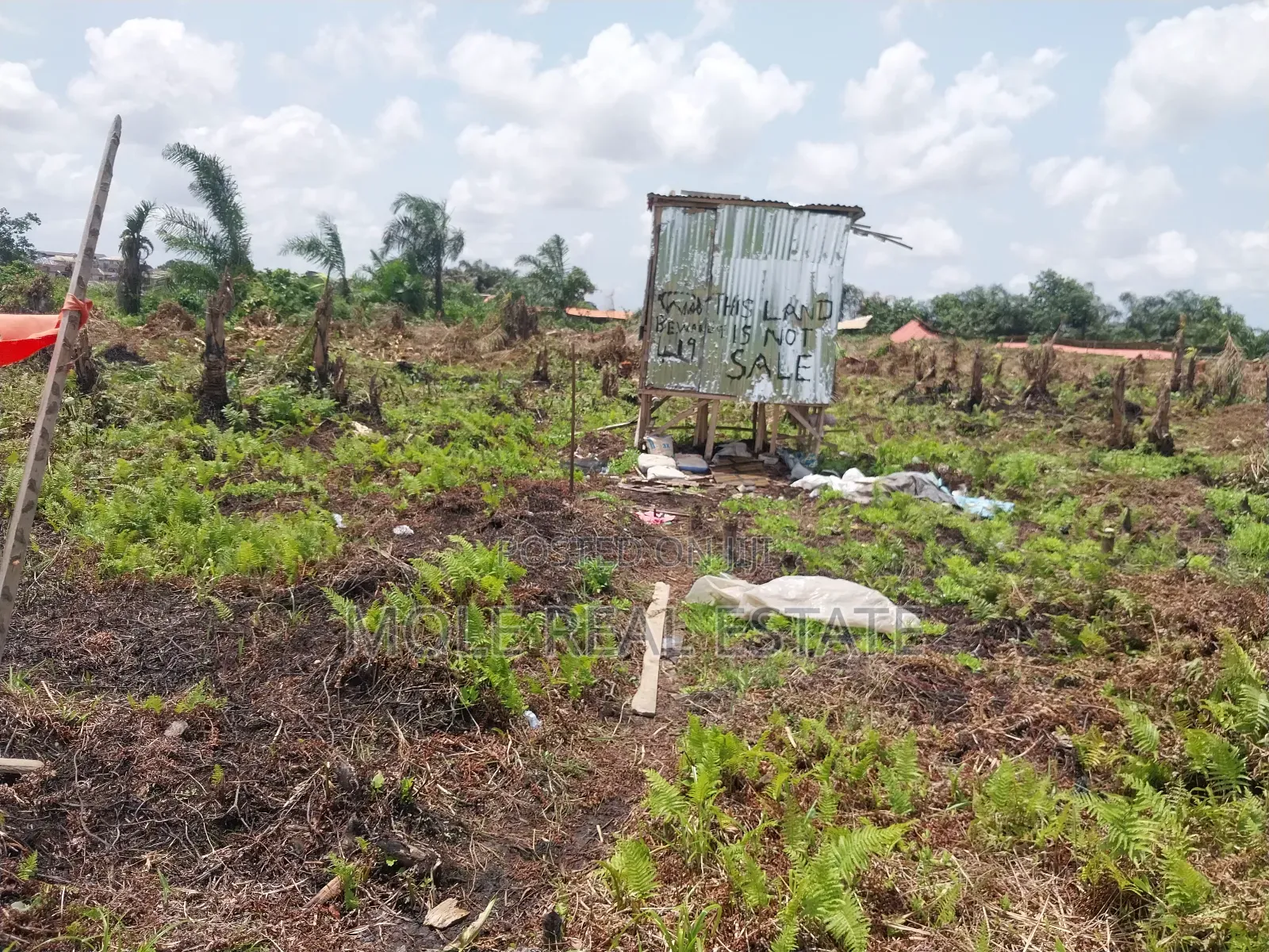 Over 25 Acres of Farmland by Mologede Jnt. Odeda Ogun State