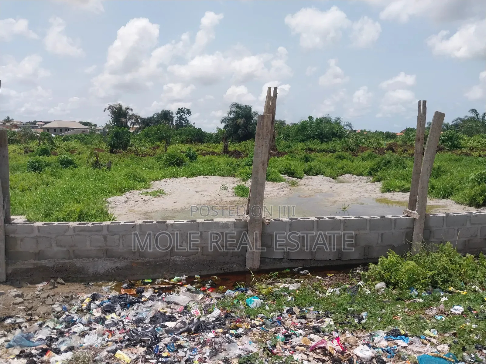Over 25 Acres of Farmland by Mologede Jnt. Odeda Ogun State